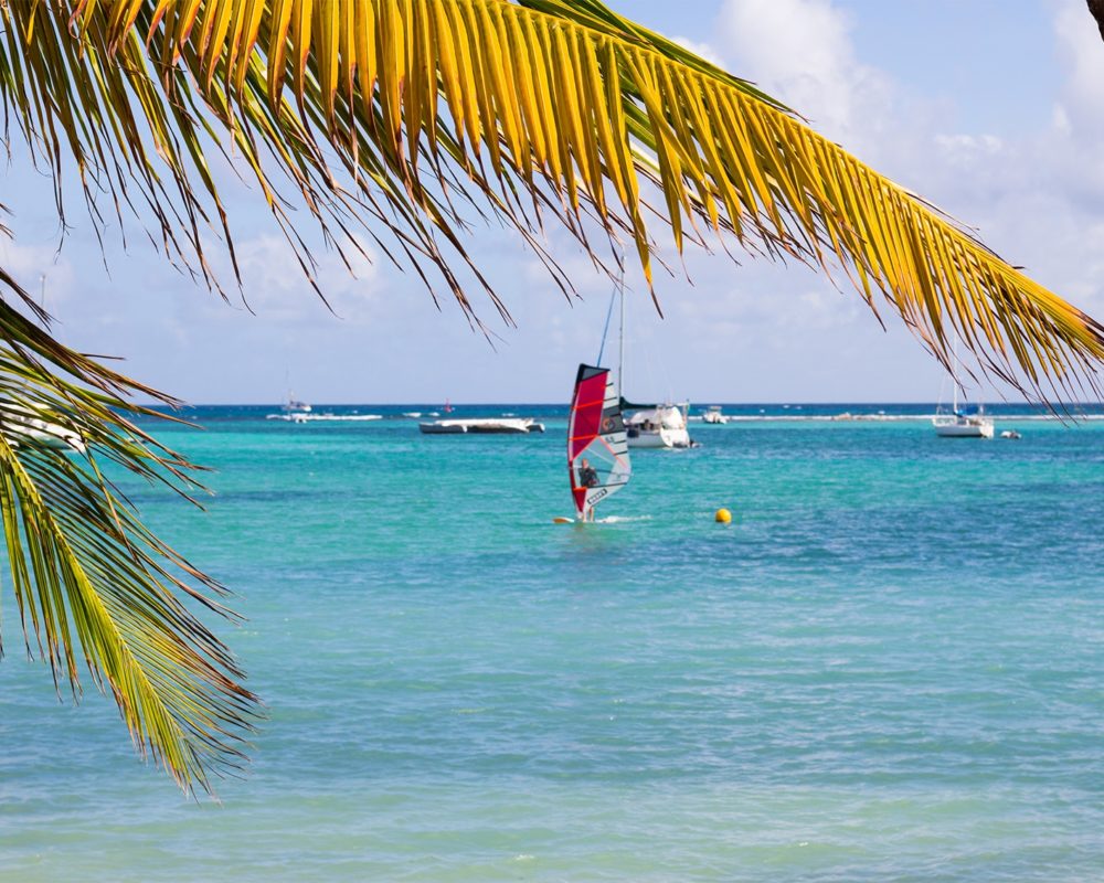 GUADELOUPE TRIP