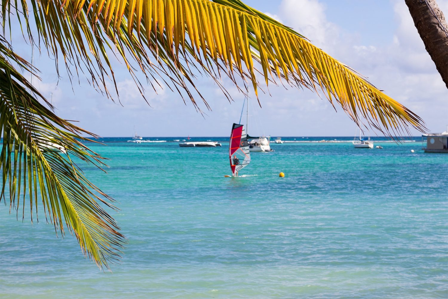 GREG-PENNE-Foil-Trip-Test