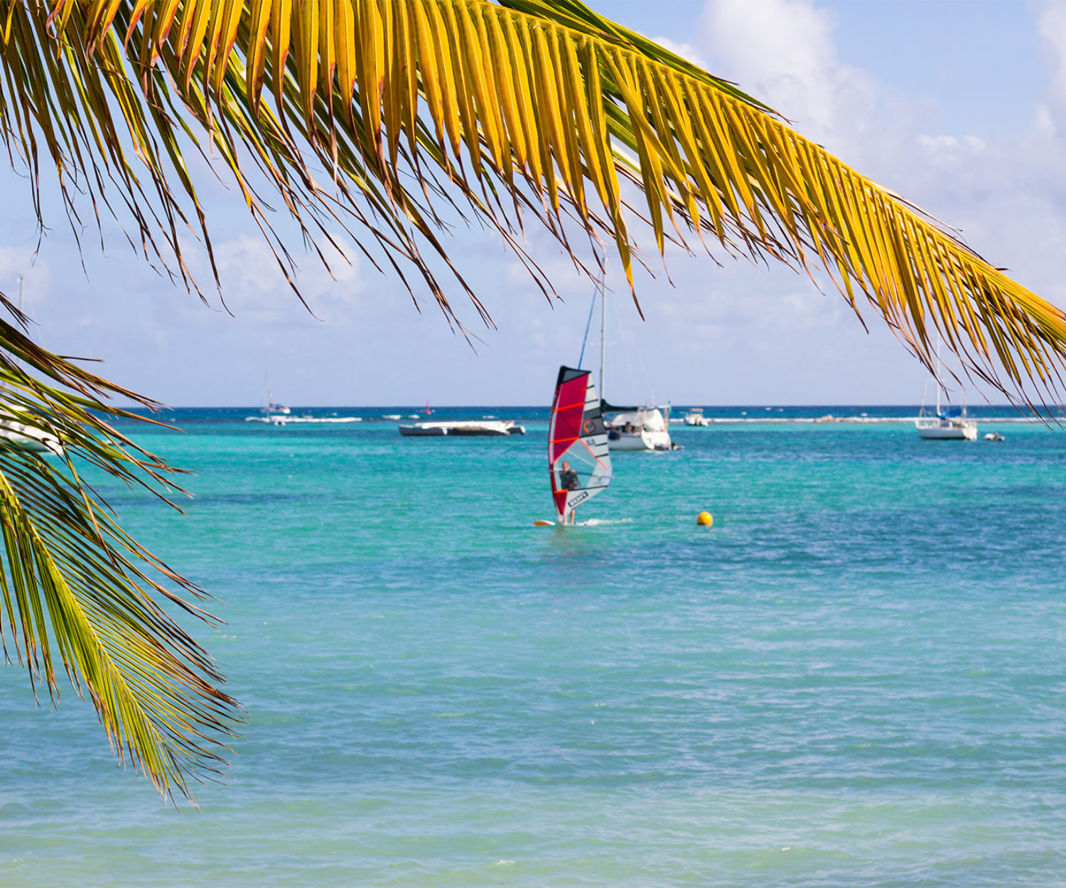 GREG-PENNE-Foil-Trip-Test